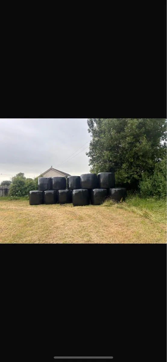 Haylage bales - Image 1