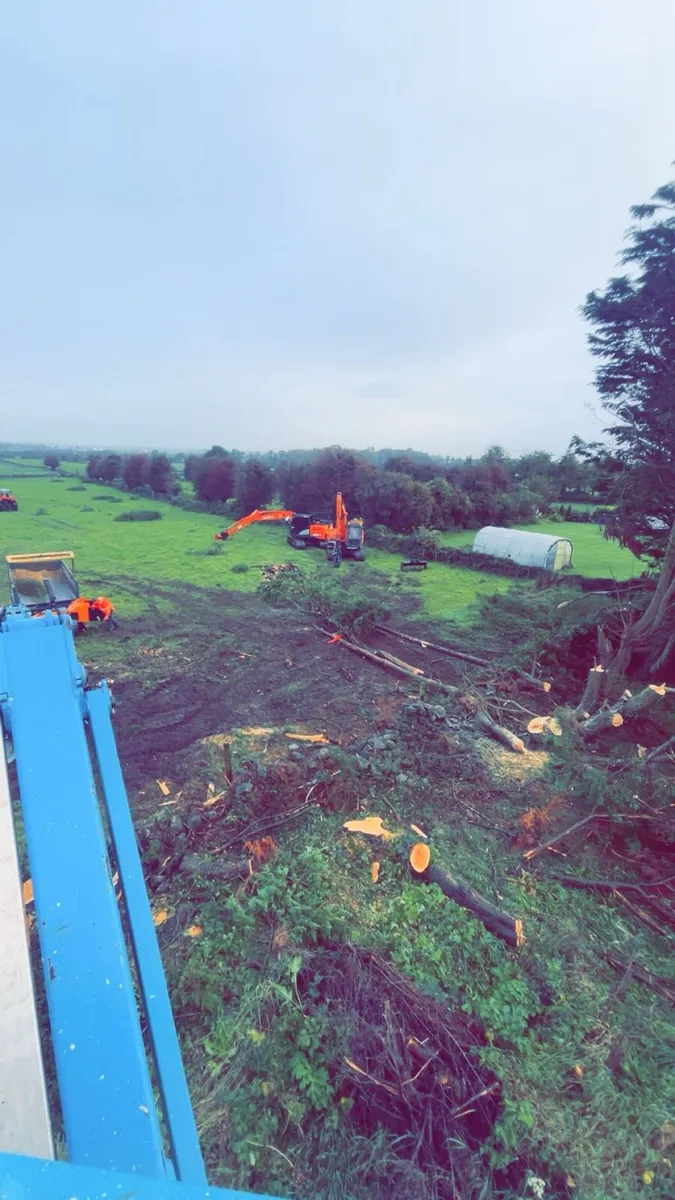 Hedgecutting tree removal wood chipping - Image 1