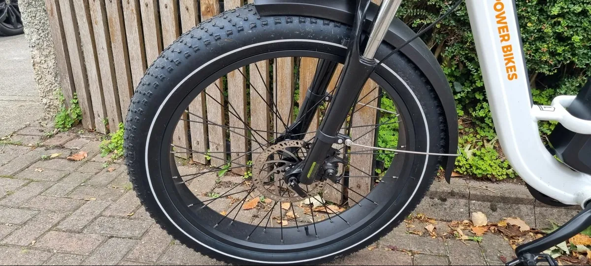 Electric Bicycle - Image 4