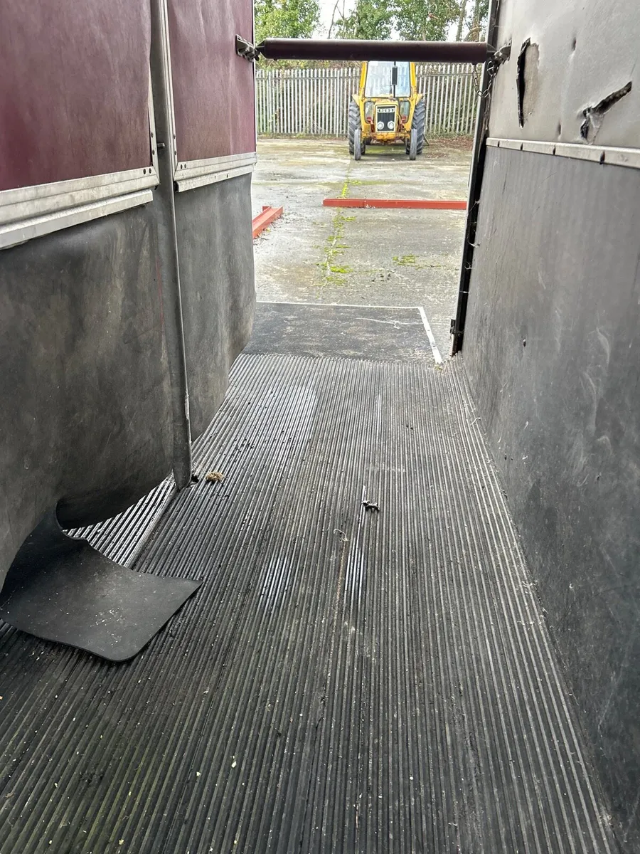 Ifor Williams 505 hunter horse box - Image 2