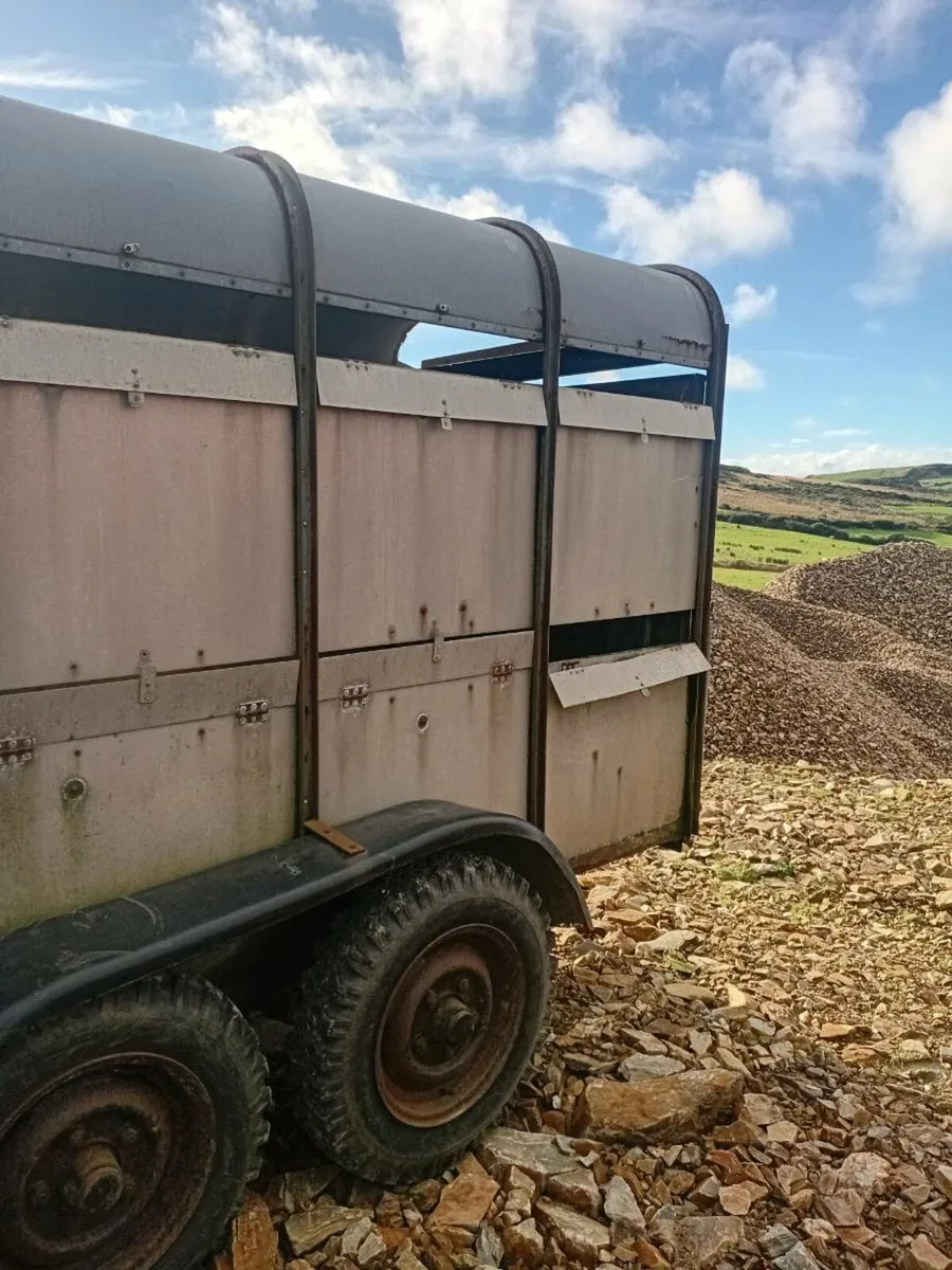 Cattle trailer - Image 2