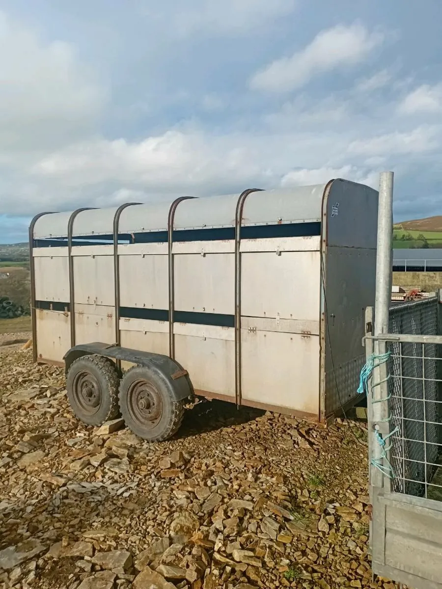 Cattle trailer - Image 4