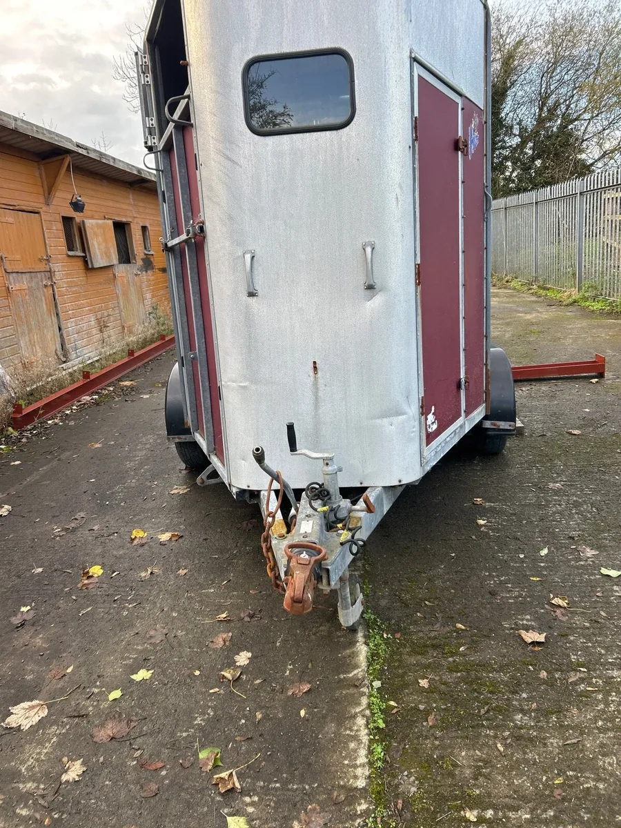 Ifor Williams 505 hunter horse box - Image 1