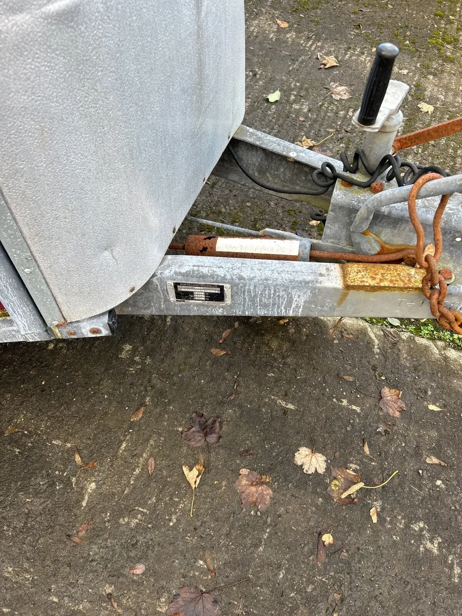 Ifor Williams 505 hunter horse box - Image 4