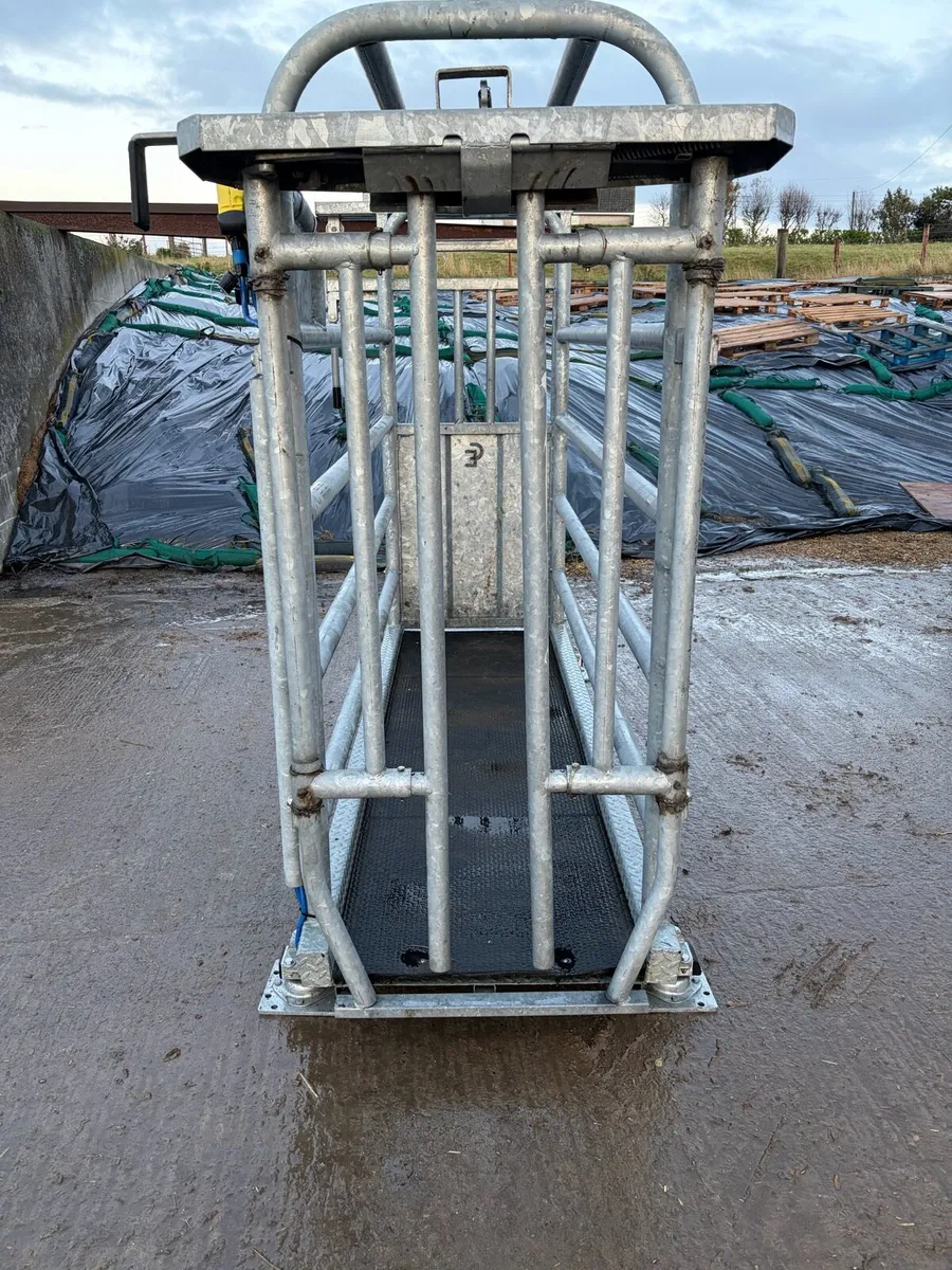 Cattle crush - Image 1