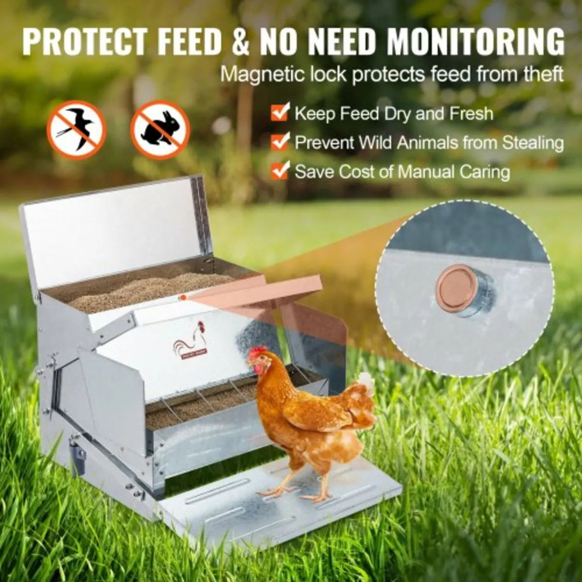 Automatic Chicken Feeder, 11.3kg Capacity Feeds 10 - Image 2