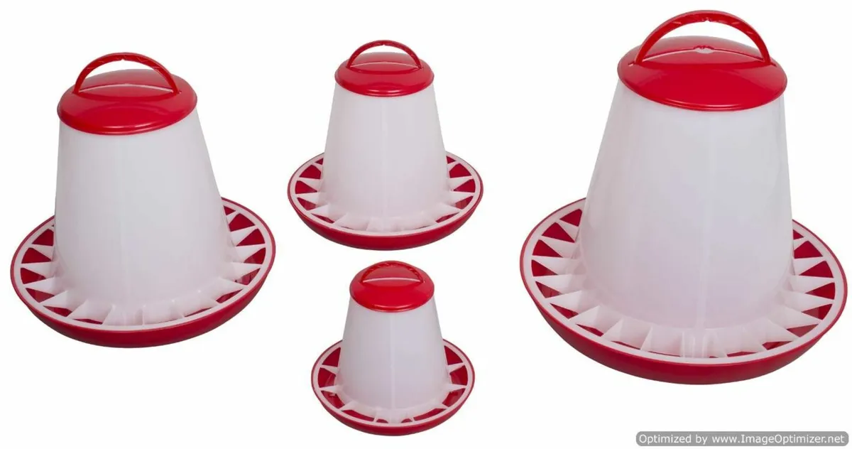 Plastic Poultry Feeders - 1kg, 3kg, 6kg & 10kg - Image 3