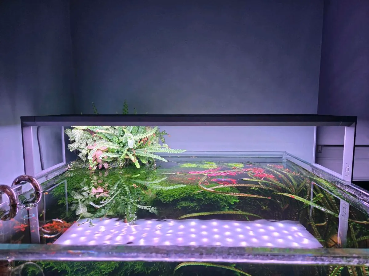 Ada aquasky RGB 2 light - Image 1