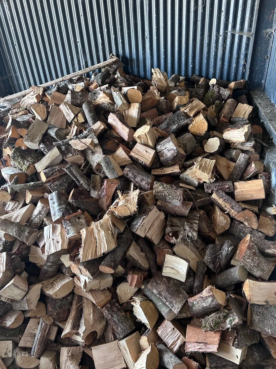 🔹 Firewood 🔹 - Image 1