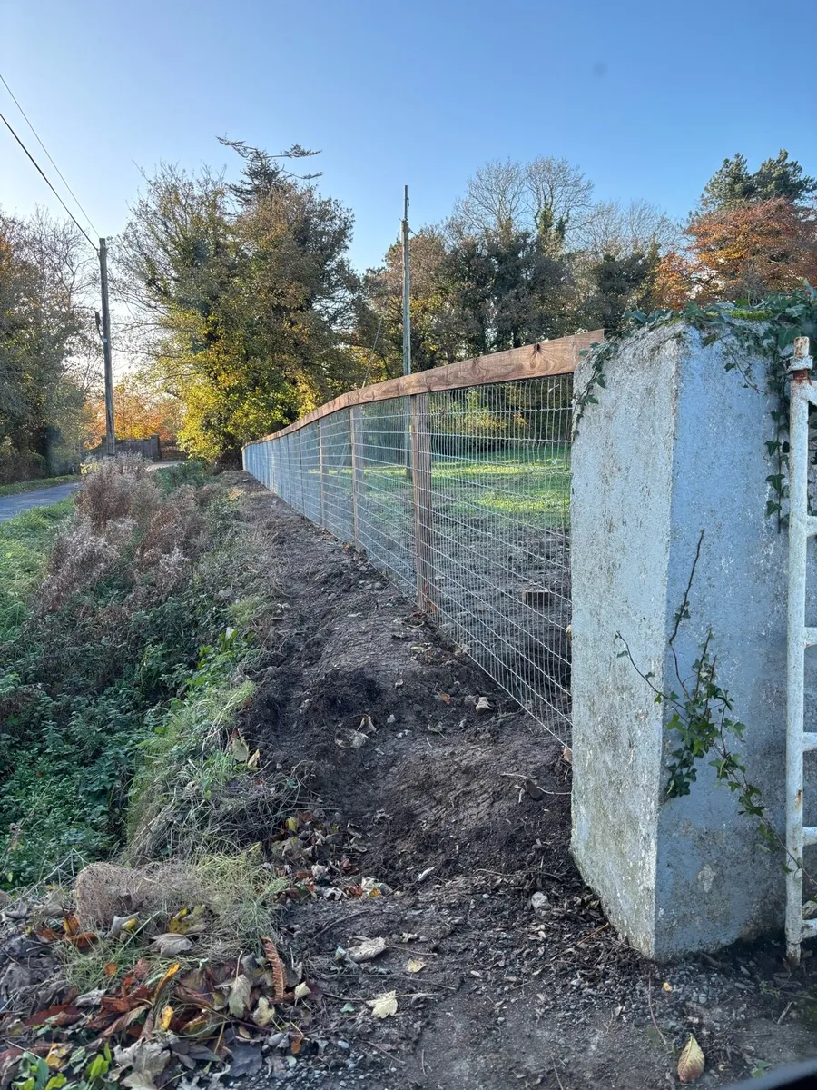 Fencing service - Image 2