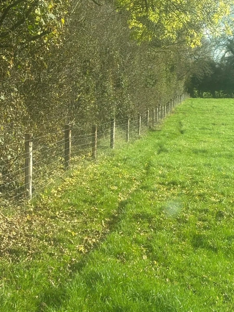 Fencing service - Image 4