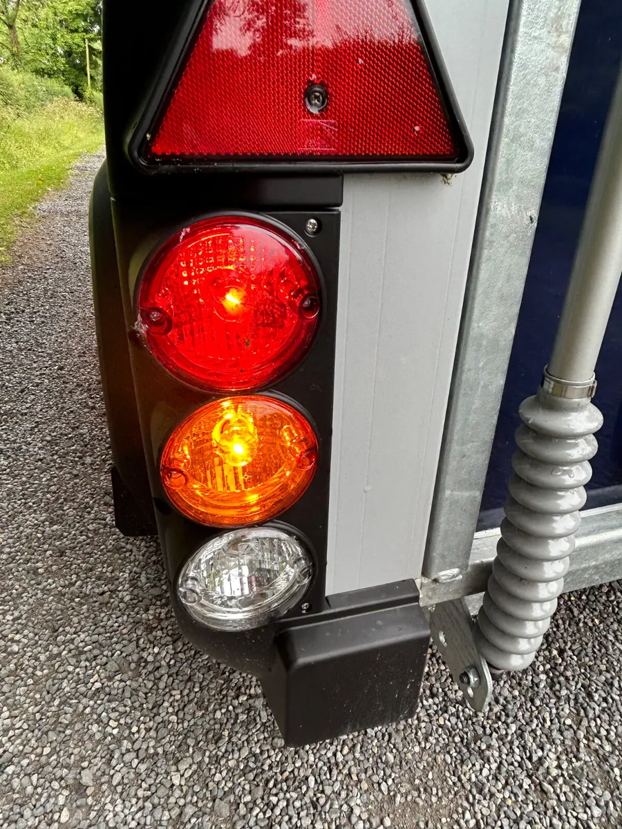 New Ifor Wiliams HB506 Horsebox - Image 4