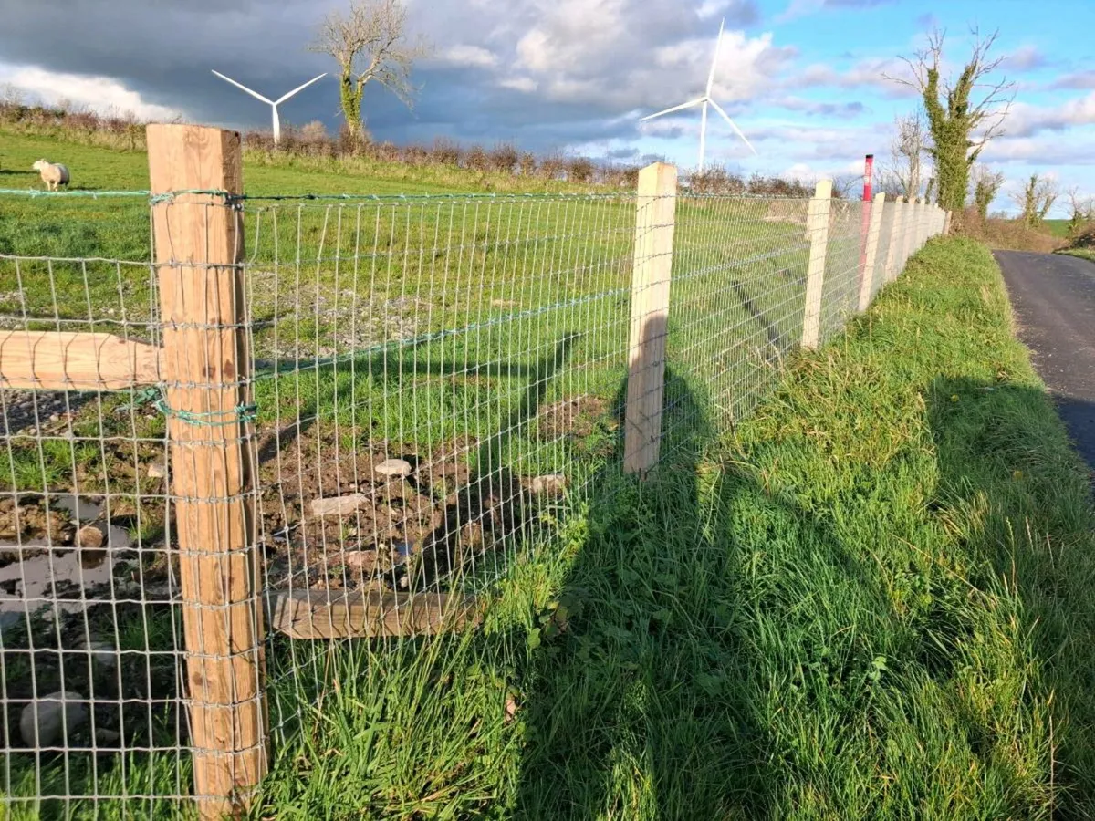 Fencing services - Image 4