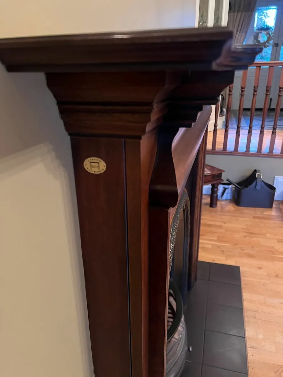 Genuine Rio Fireplace + Entire Metal Insert - Image 2