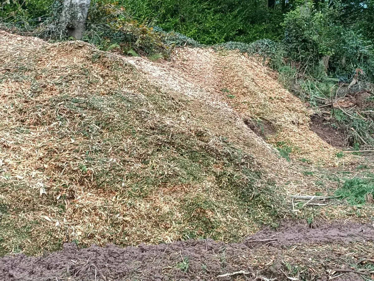 Bark mulch - Image 2