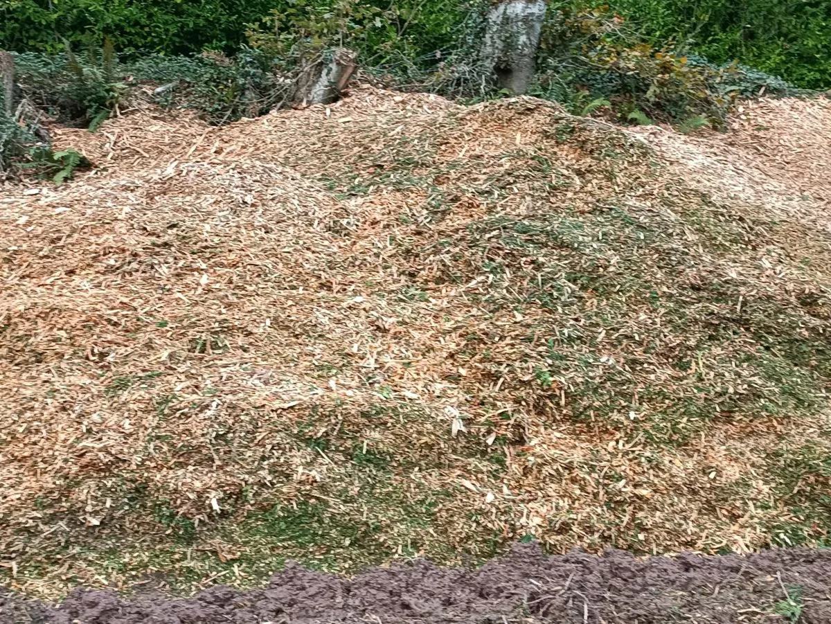 Bark mulch - Image 3