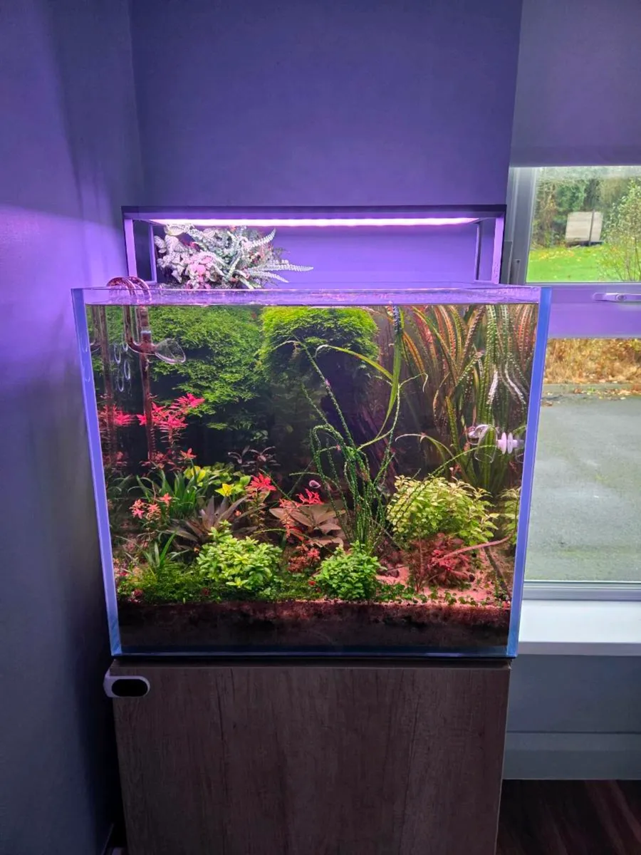 Aqua one 150 litre planted aquarium - Image 1