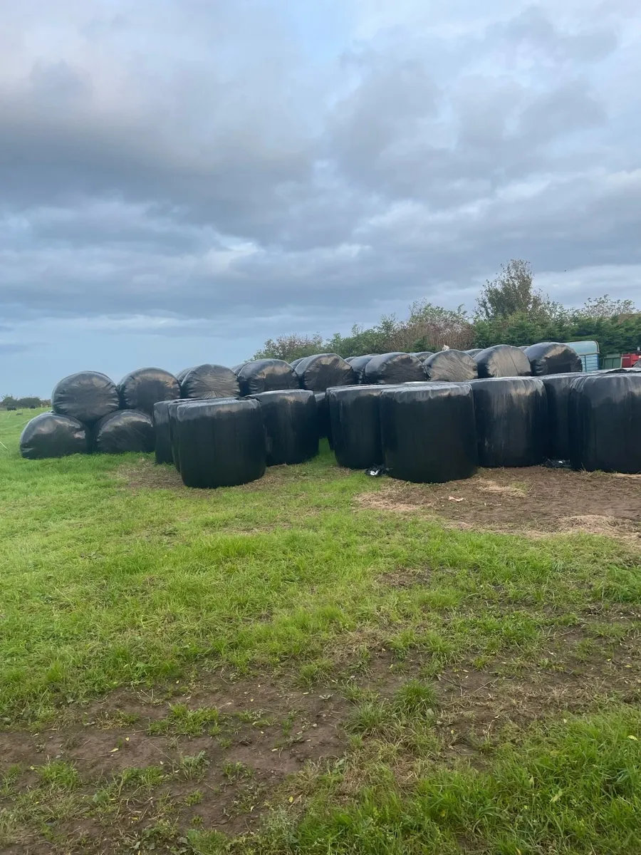 25 Silage and hay - Image 2