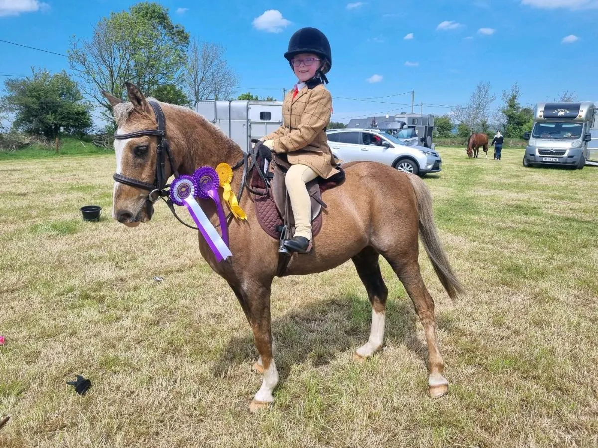 122cm Lead Rein Pony - Image 4