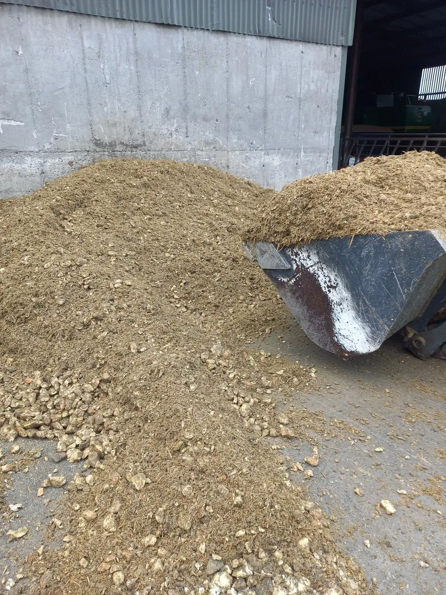 Sugar Beet  or Beet mix - Image 2