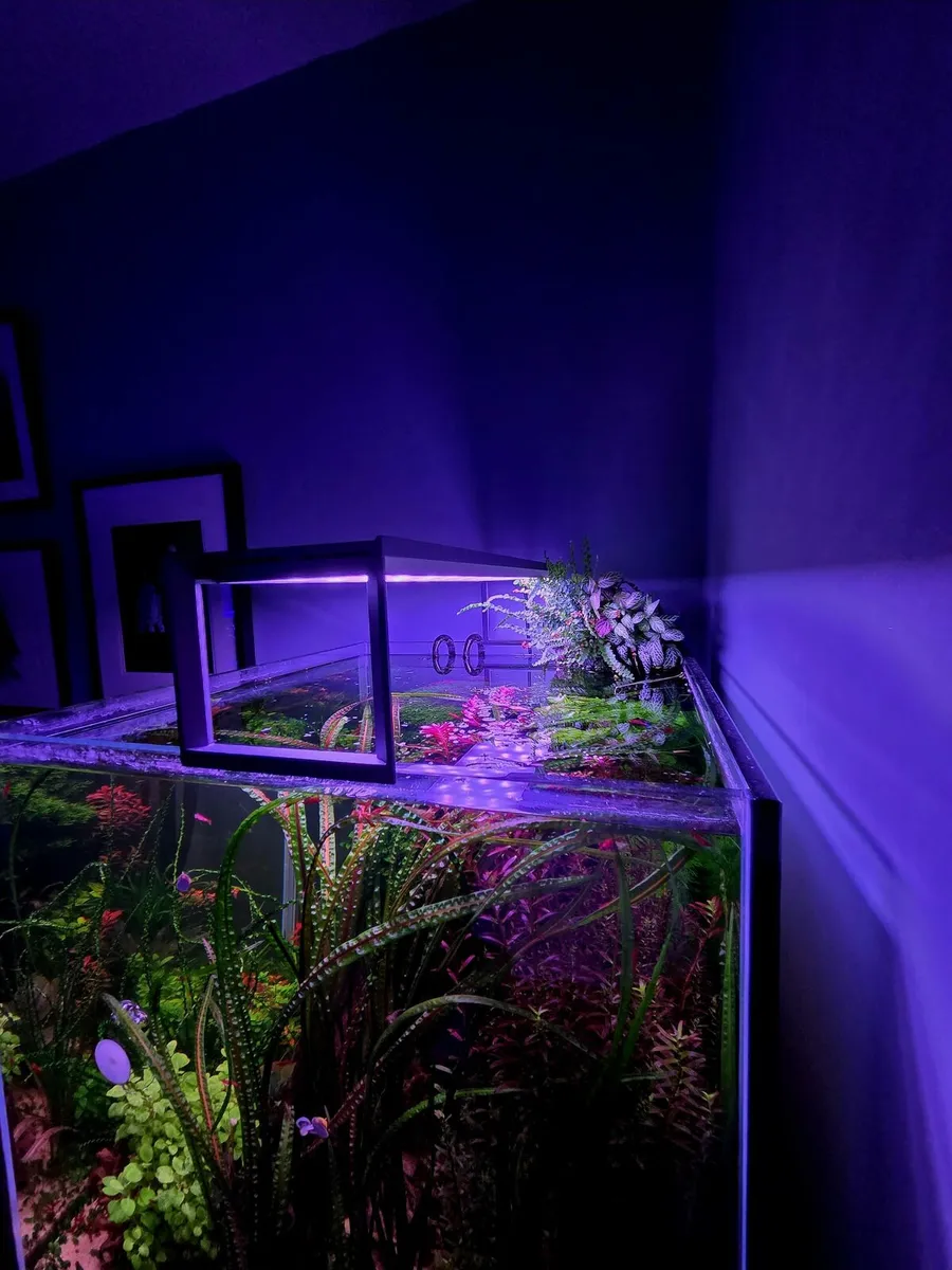 Aqua one 150 litre planted aquarium - Image 3