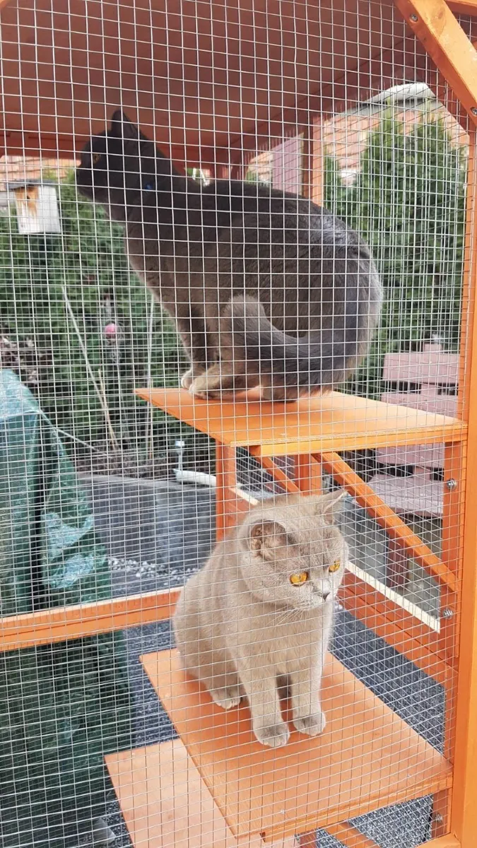 CATIO CATTERY PLAYPEN ..FREE DELIVERY - Image 1