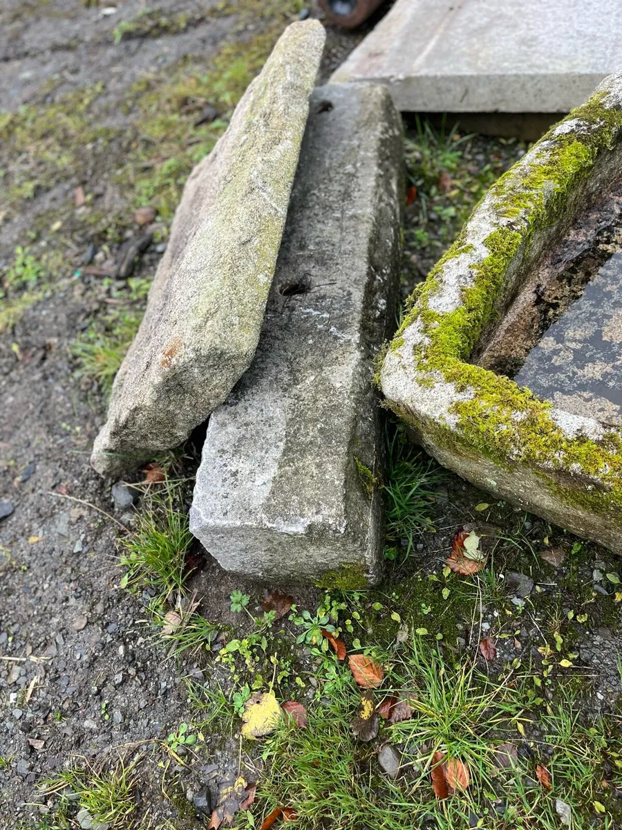 Granite antique trough - Image 4
