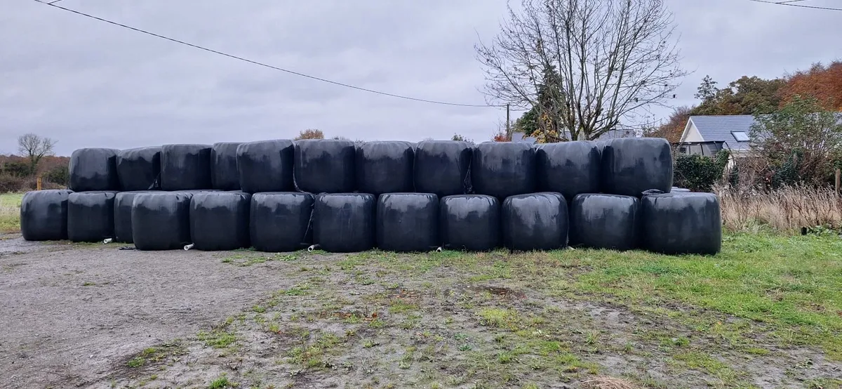 silage and hay for sale - Image 1