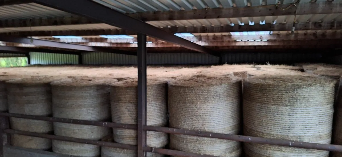silage and hay for sale - Image 2