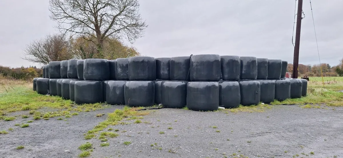 silage and hay for sale - Image 3