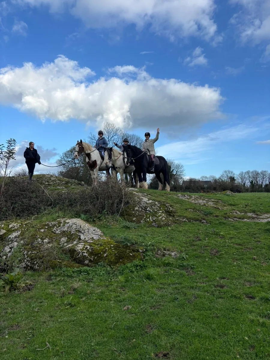 Make your child’s dream come true - Image 1