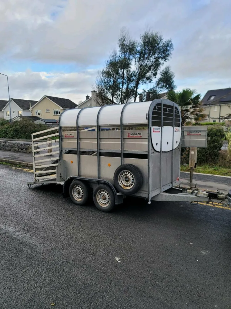 Nugent Trailer 8 by 5 - Image 2