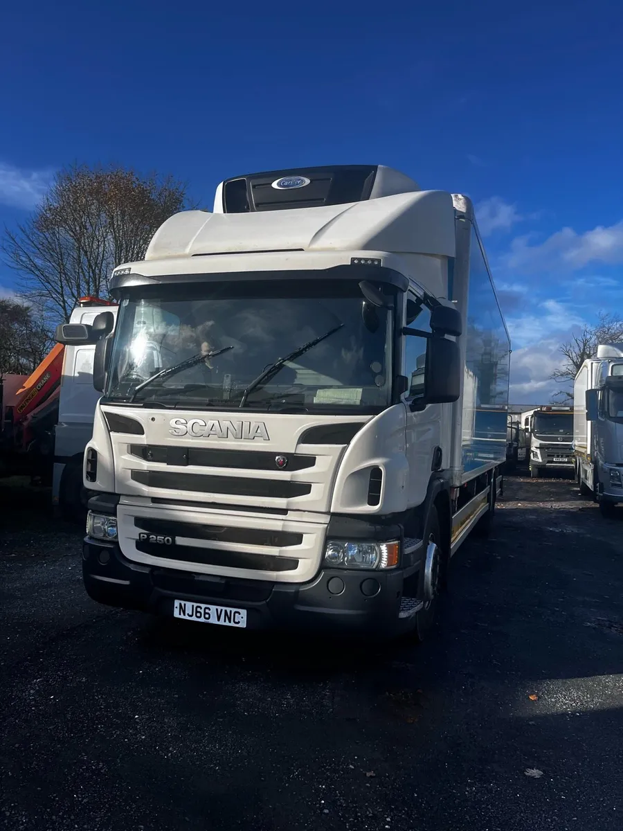 2016 scania p250 fridge hire or sale - Image 2