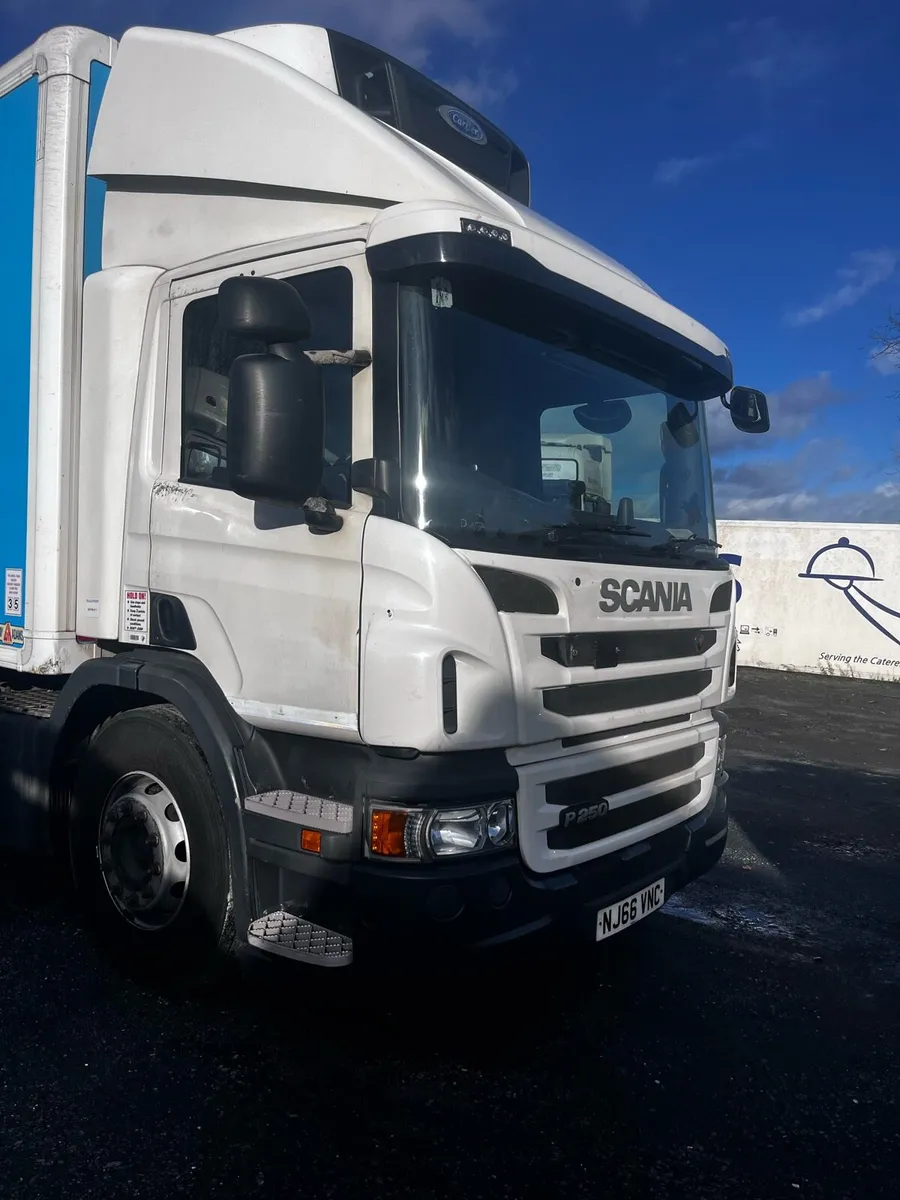 2016 scania p250 fridge hire or sale - Image 4