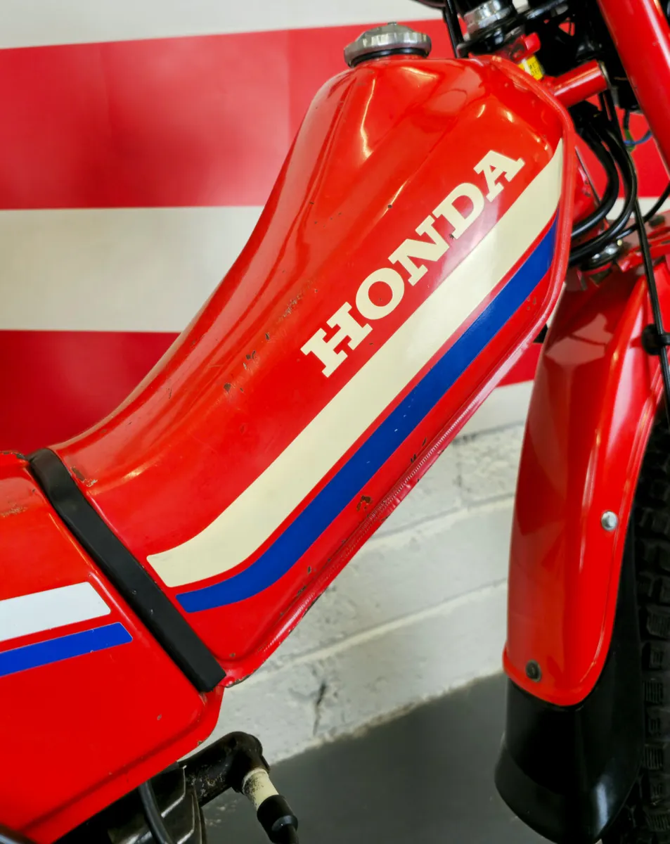 1985 Honda PX50 - Image 3