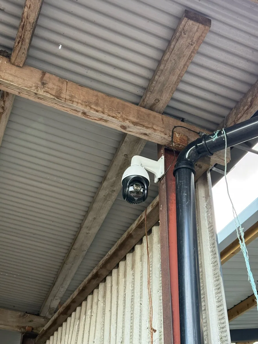 Livestock Cameras – Calving, Foaling & Lambing - Image 4