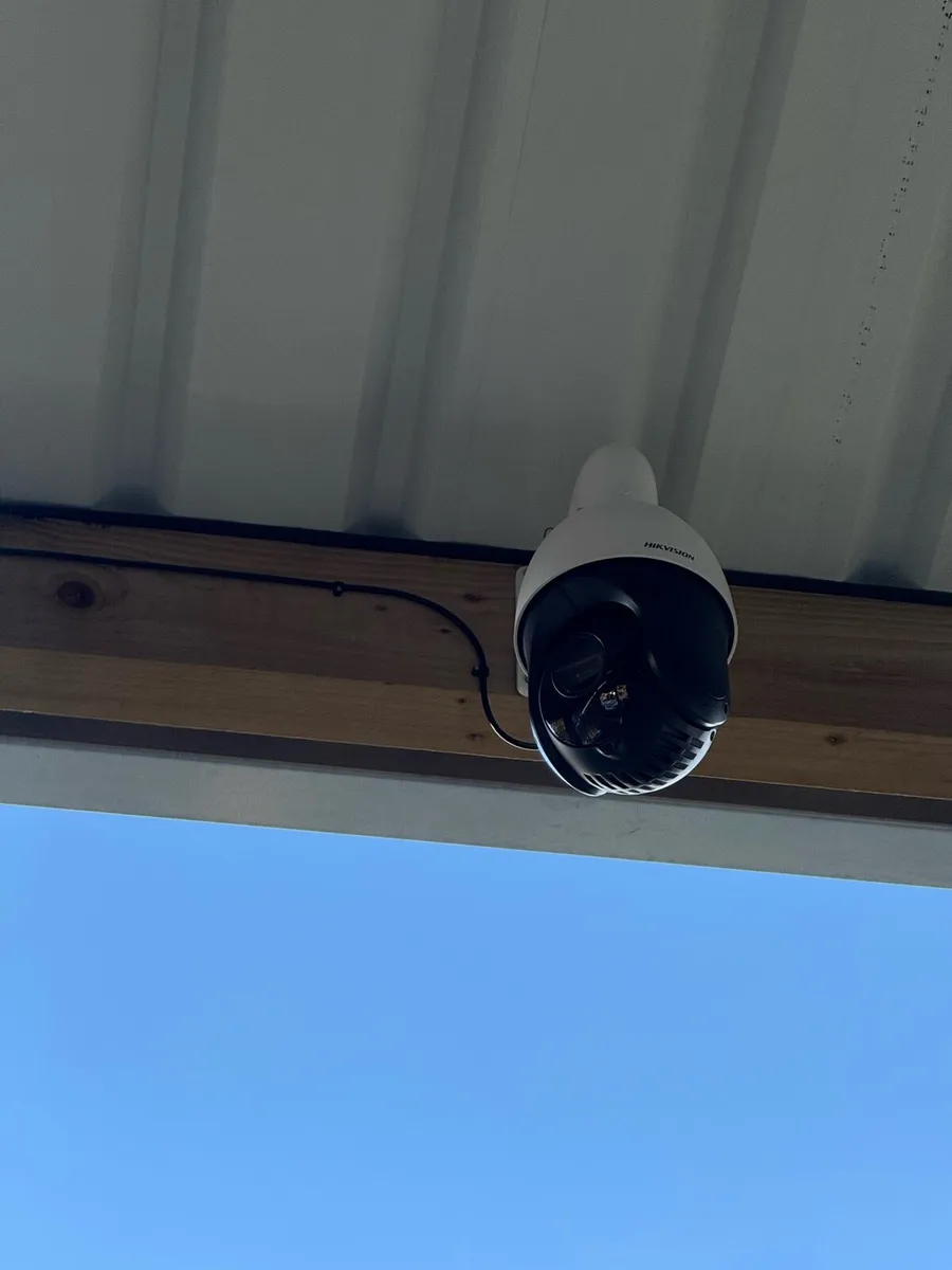 Livestock Cameras – Calving, Foaling & Lambing - Image 4
