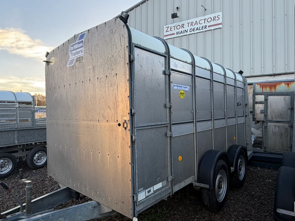 Ifor Williams Cattle Trailer 12x6 choice of 6 - Image 2