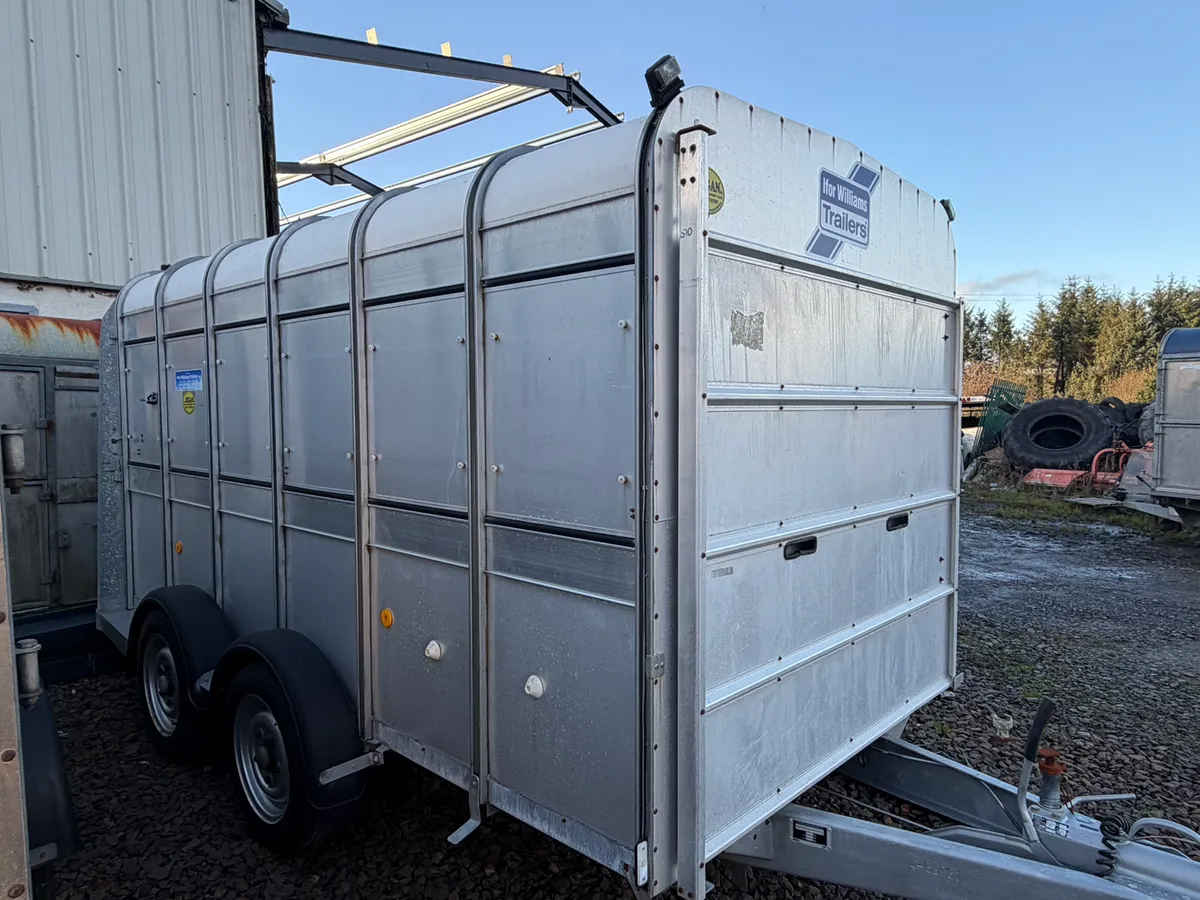 Ifor Williams Cattle Trailer 12x6 choice of 6 - Image 3