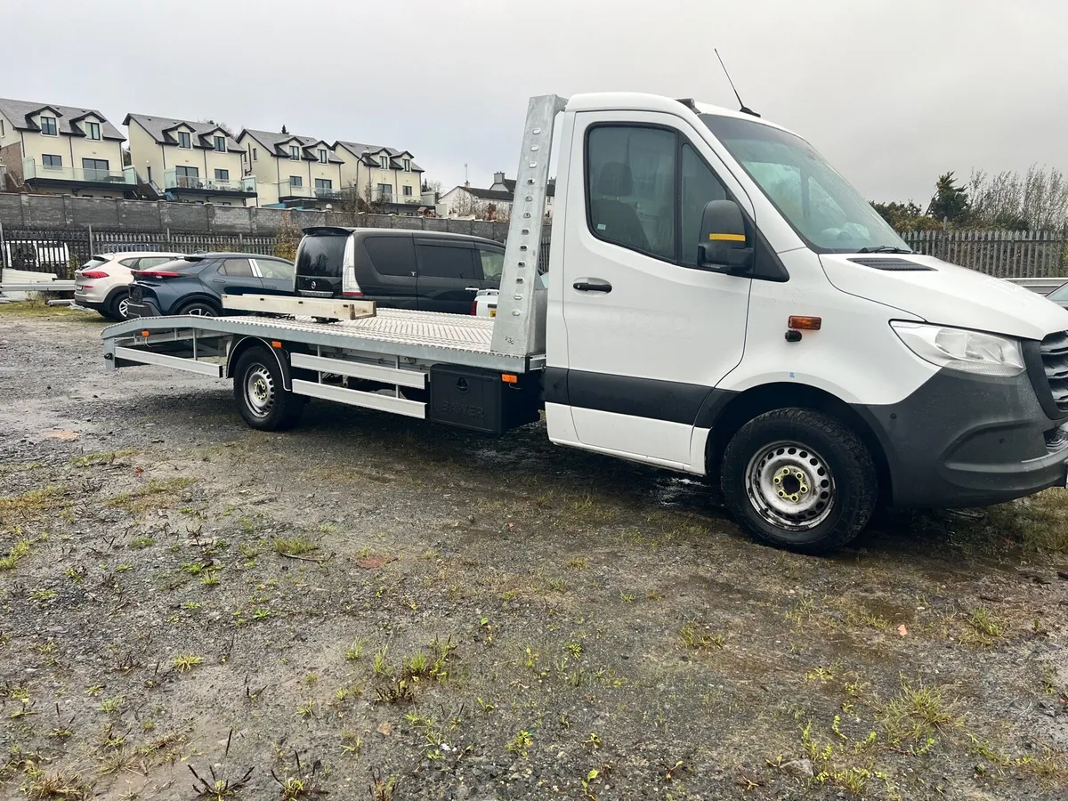 Recovery bodys - Image 3