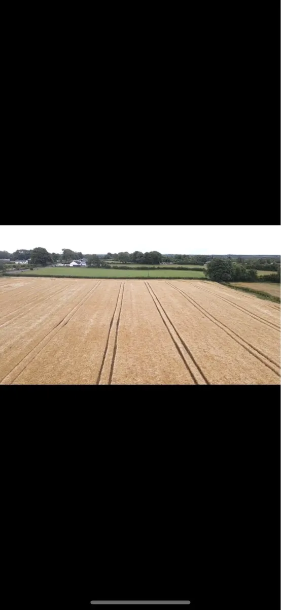 Land wanted for growing corn