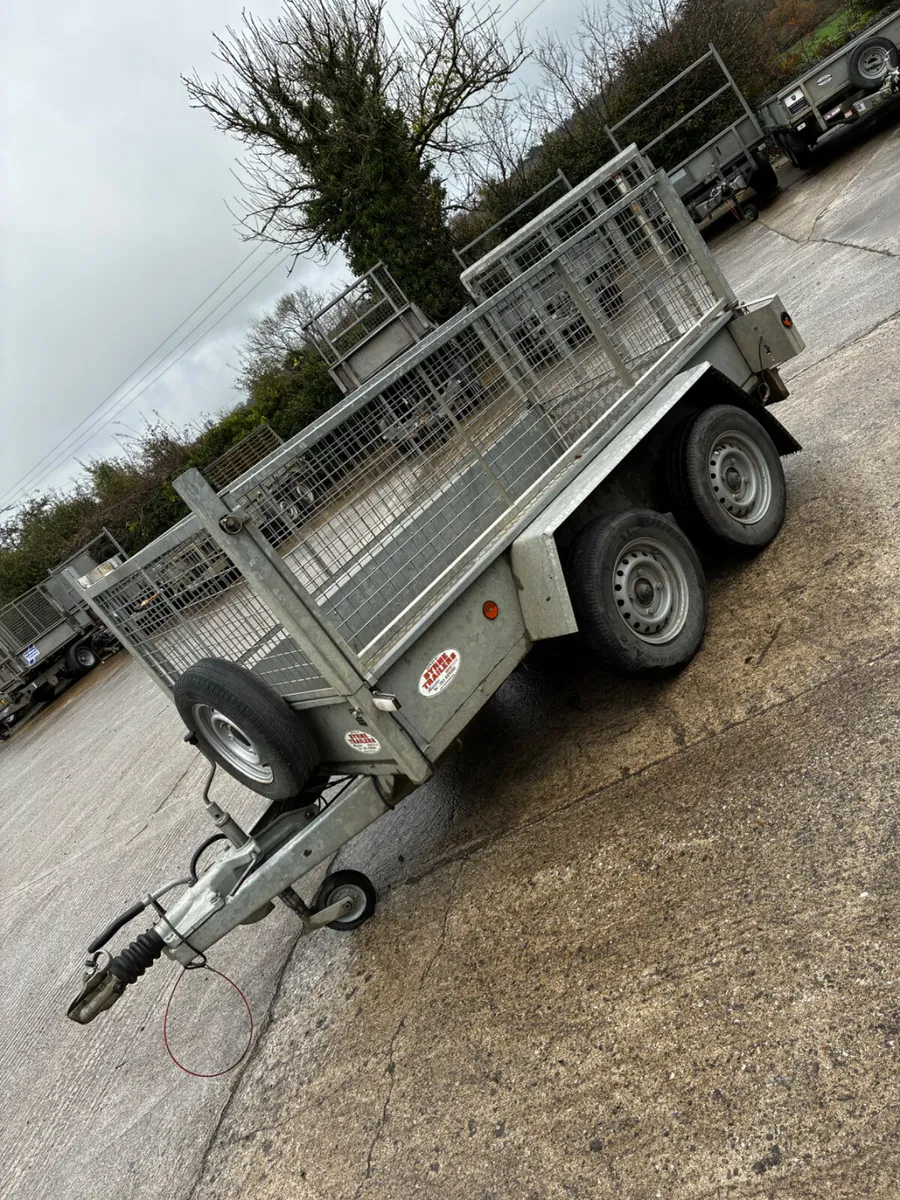 8x4 Murphy builders trailer - Image 2