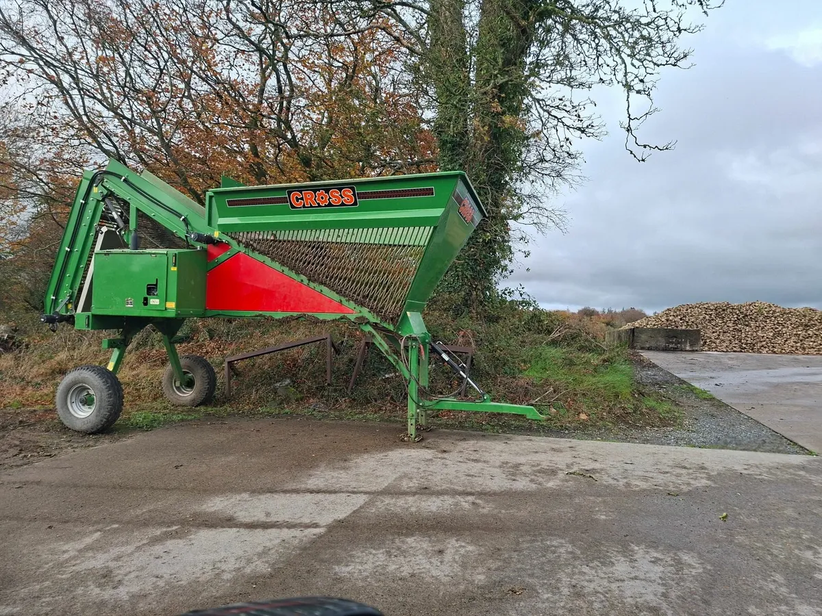 Sugar beet - Image 4