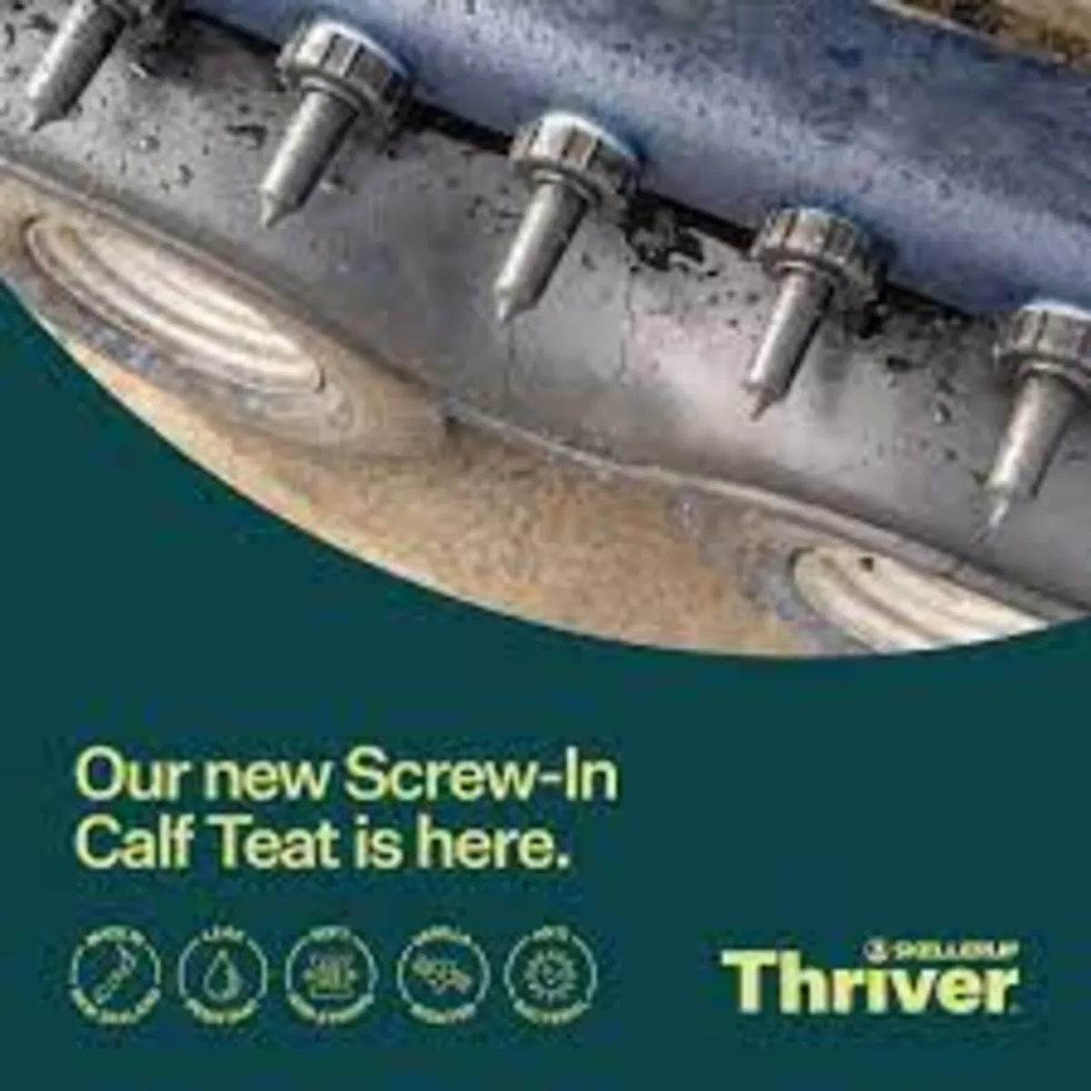 Genuine Skellerup "Thriver" Calf Teats - Image 1