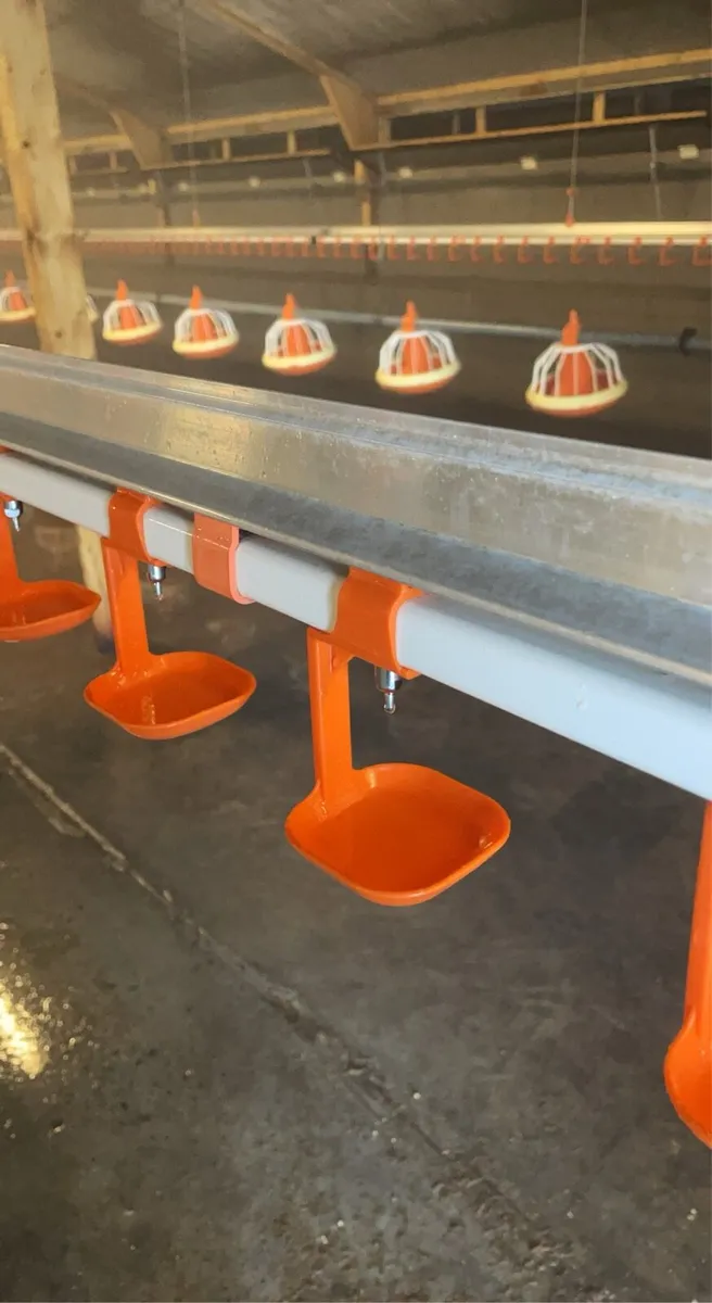 POWERWASHING POULTRY HOUSES AND AGRICULTURAL SHEDS - Image 3