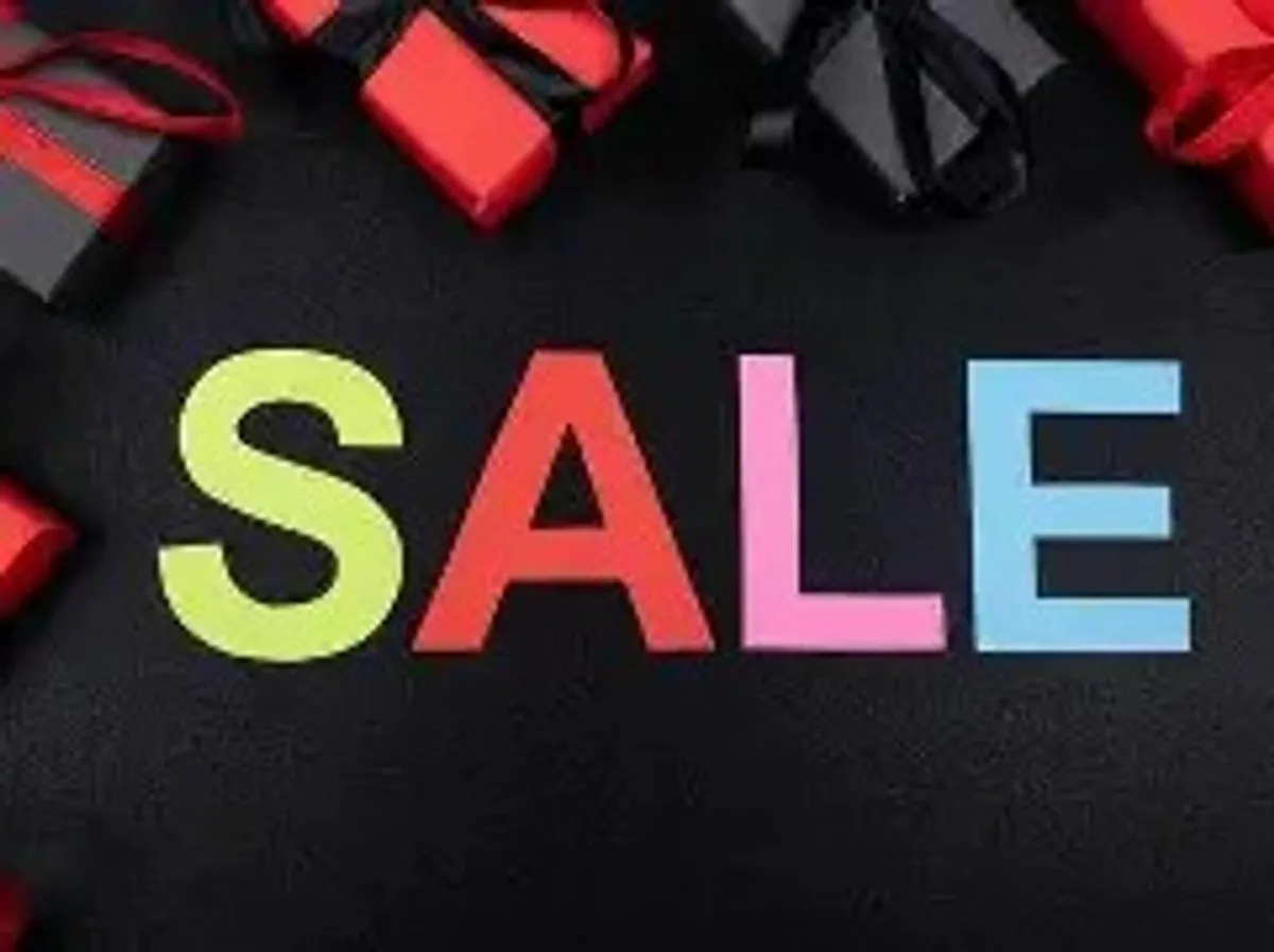 Man TGE Panel Van - Image 2