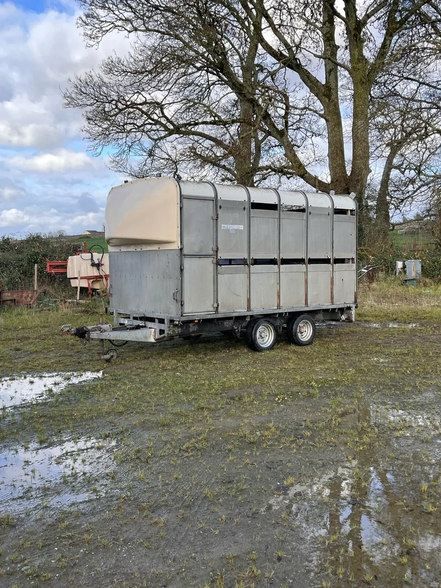 Ifor Williams DP Livestock Trailer - Image 2
