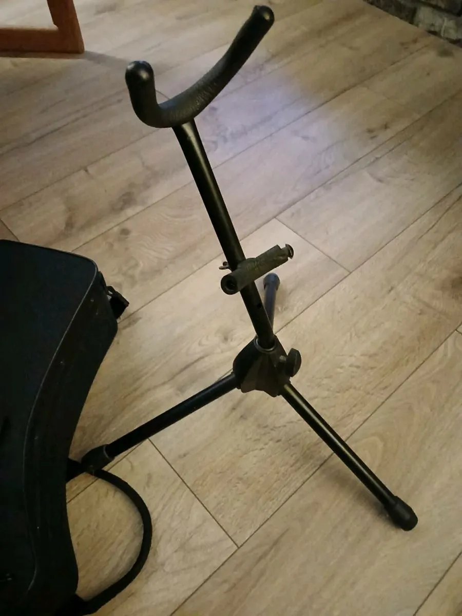 Saxophone Alto by Trevor J James - Image 4