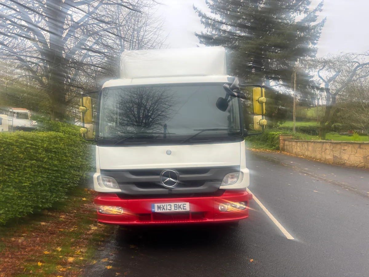 Mercedes beaver tail - Image 2