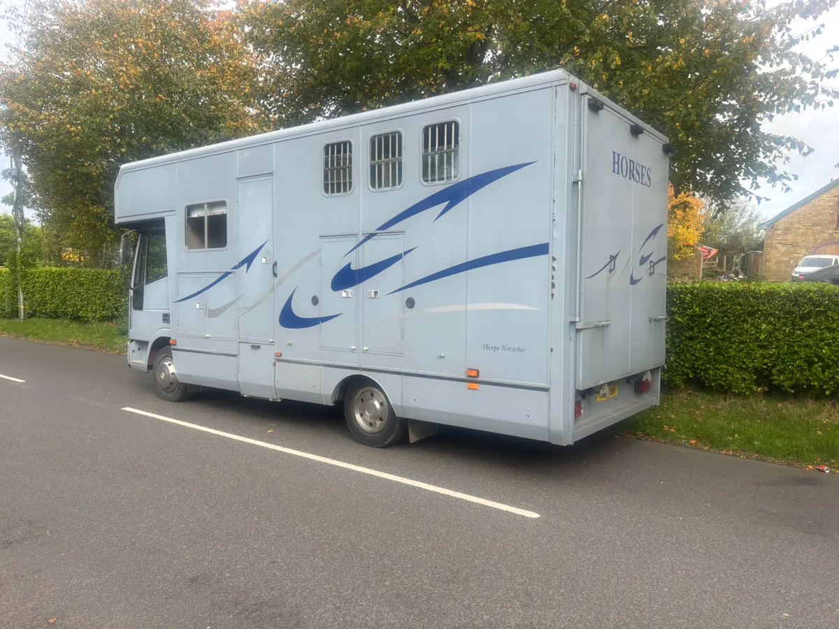 Iveco horse lorry - Image 1